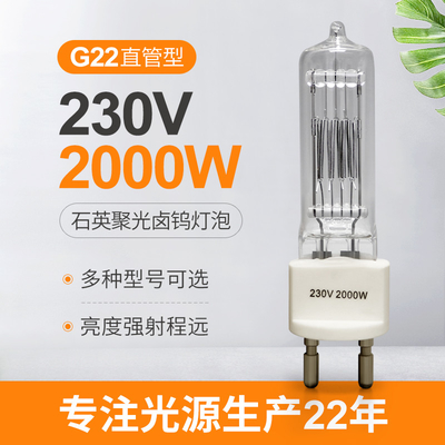 耐圧防爆230v 2000w G22の水晶ハロゲン球根の2ピンハロゲン ランプ